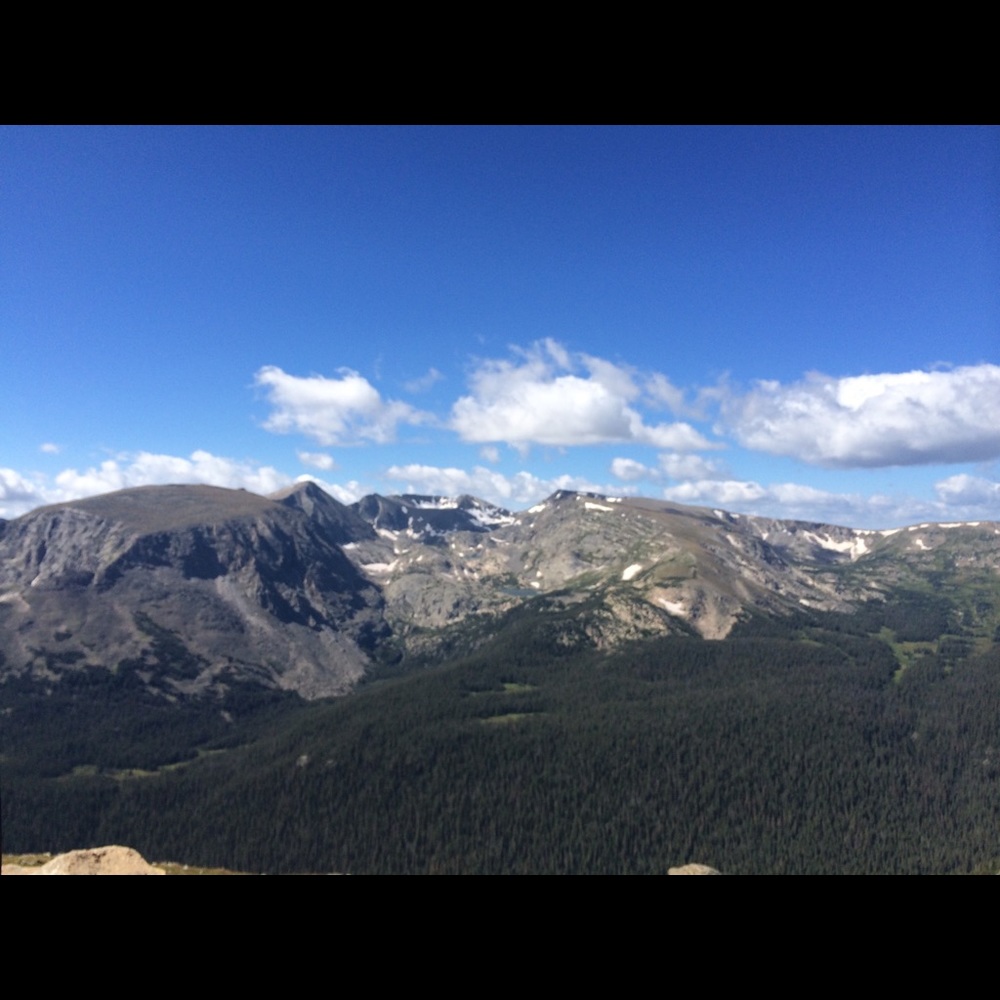 Meet your Posher, Kassendra